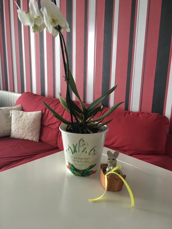 Dora City Apartament Lägenhet Cluj-Napoca Exteriör bild